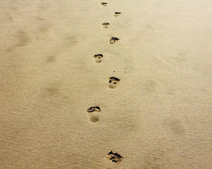 Jogging barefoot or with barefoot shoes - this is what you need to know!